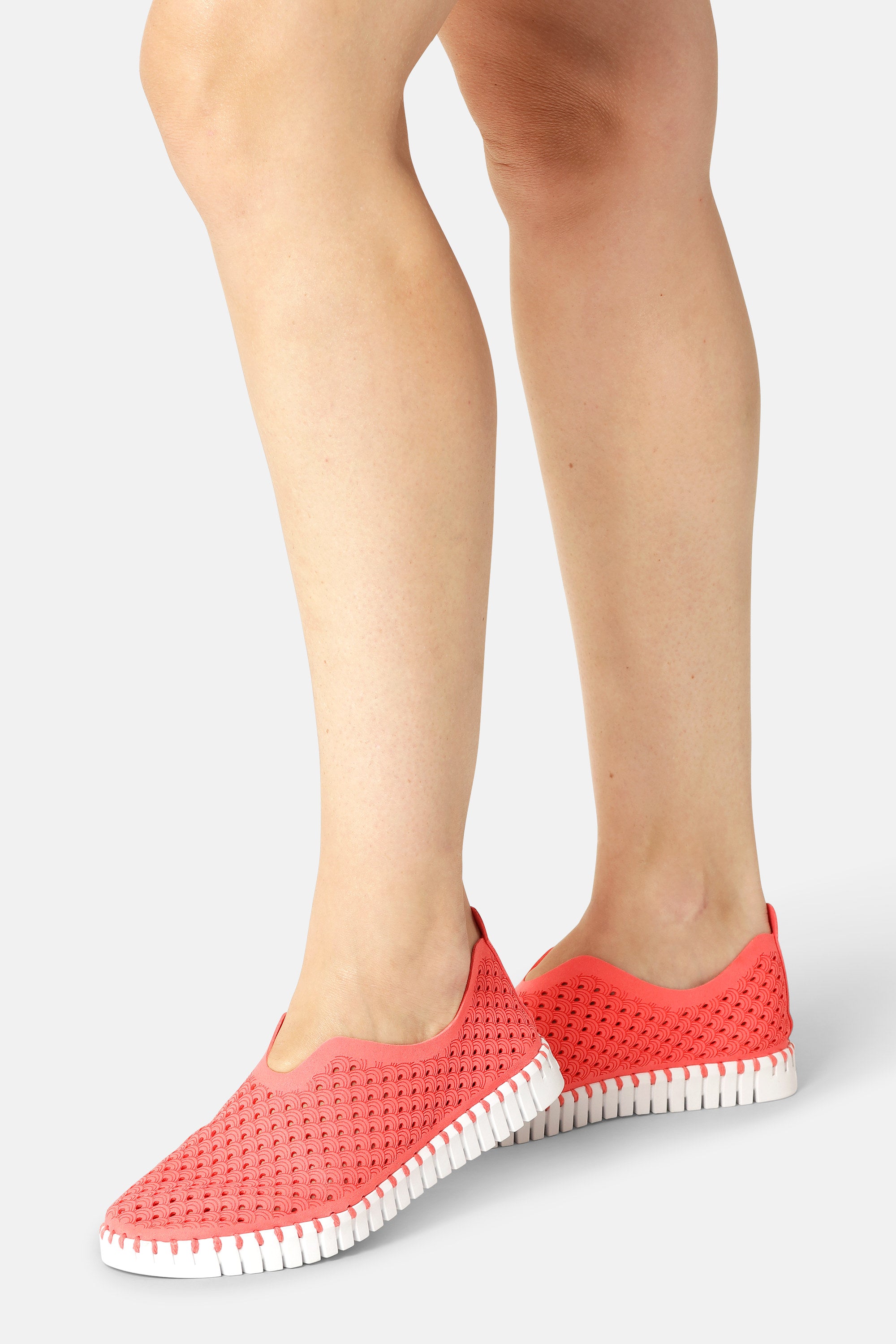 Tulip Flats - Raspberry White